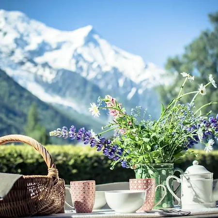 Chalet-hotel Hermitage Готель Шамоні