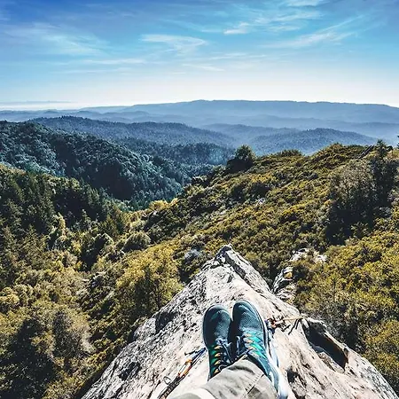 Chalet-hotel Hermitage 4*