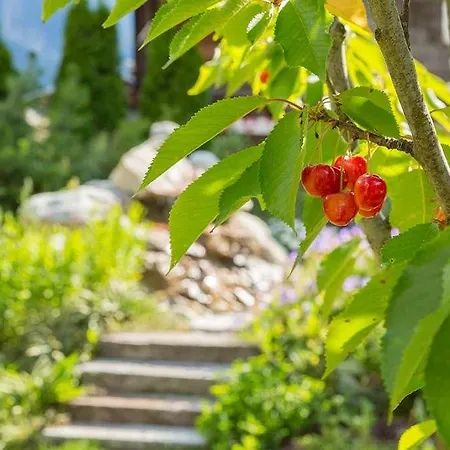 Otel Chalet-hotel Hermitage 4*