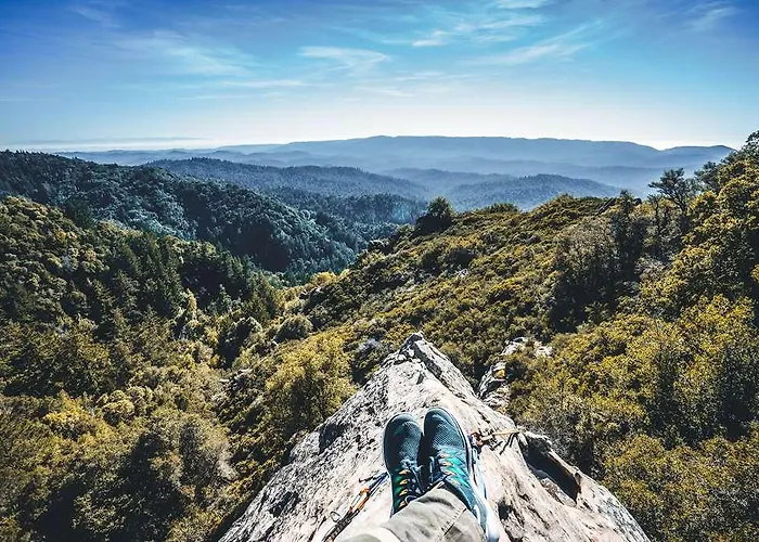 Chalet-hotel Hermitage 4*