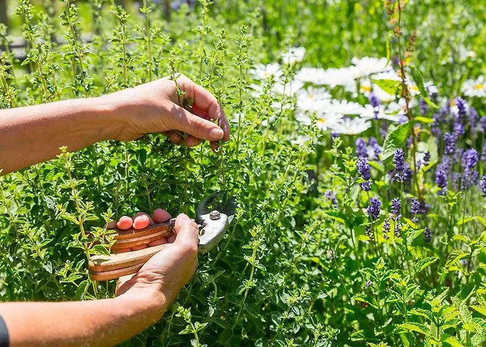 Chalet-hotel Hermitage Szálloda Chamonix
