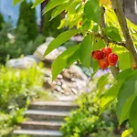 Готель Chalet-hotel Hermitage 4*