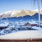 Chalet-hotel Hermitage Готель Шамоні