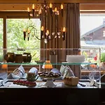 Готель Chalet-hotel Hermitage Шамоні