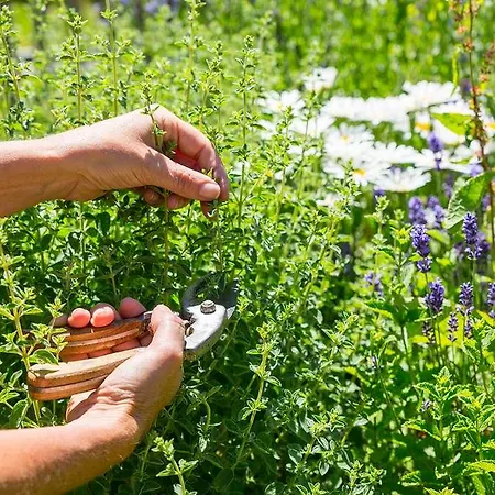 Chalet-hôtel Hermitage Hotel Chamonix