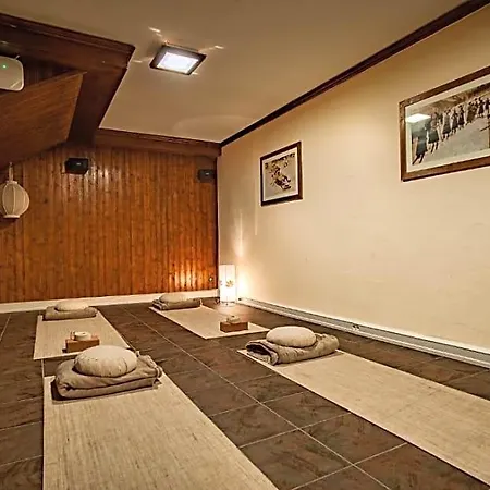 فندق Chalet-hotel Hermitage 4*