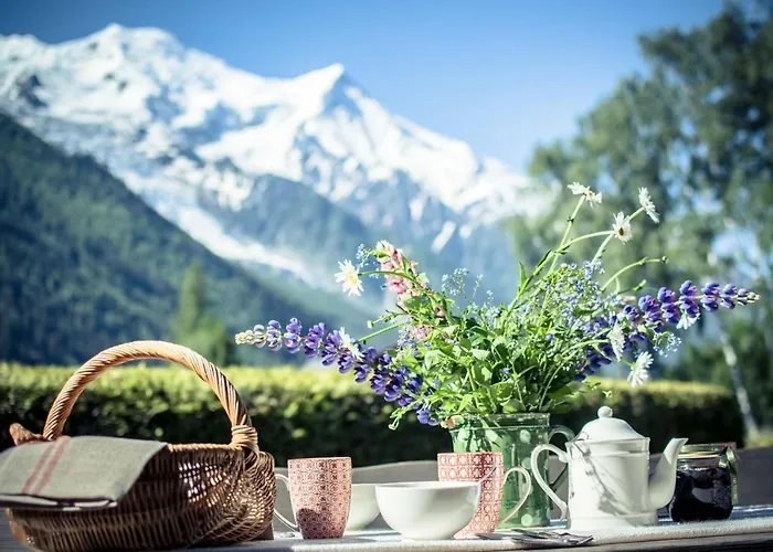 Chalet-hotel Hermitage Готель Шамоні