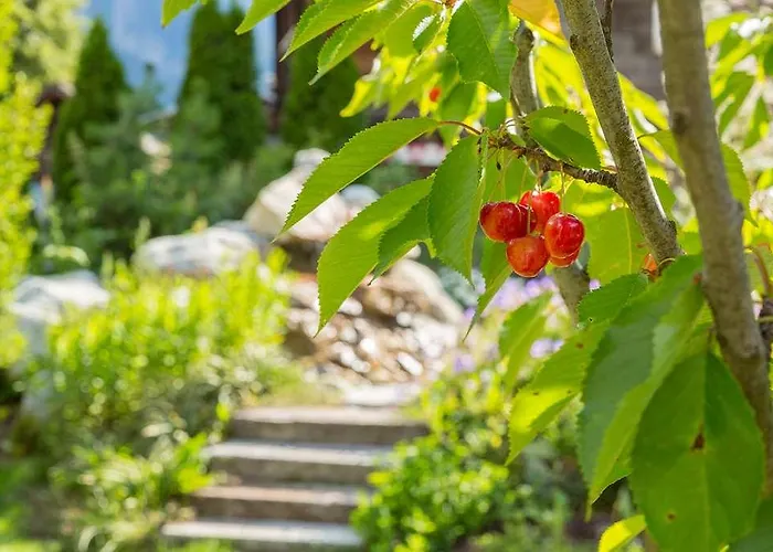 Готель Chalet-hotel Hermitage 4*